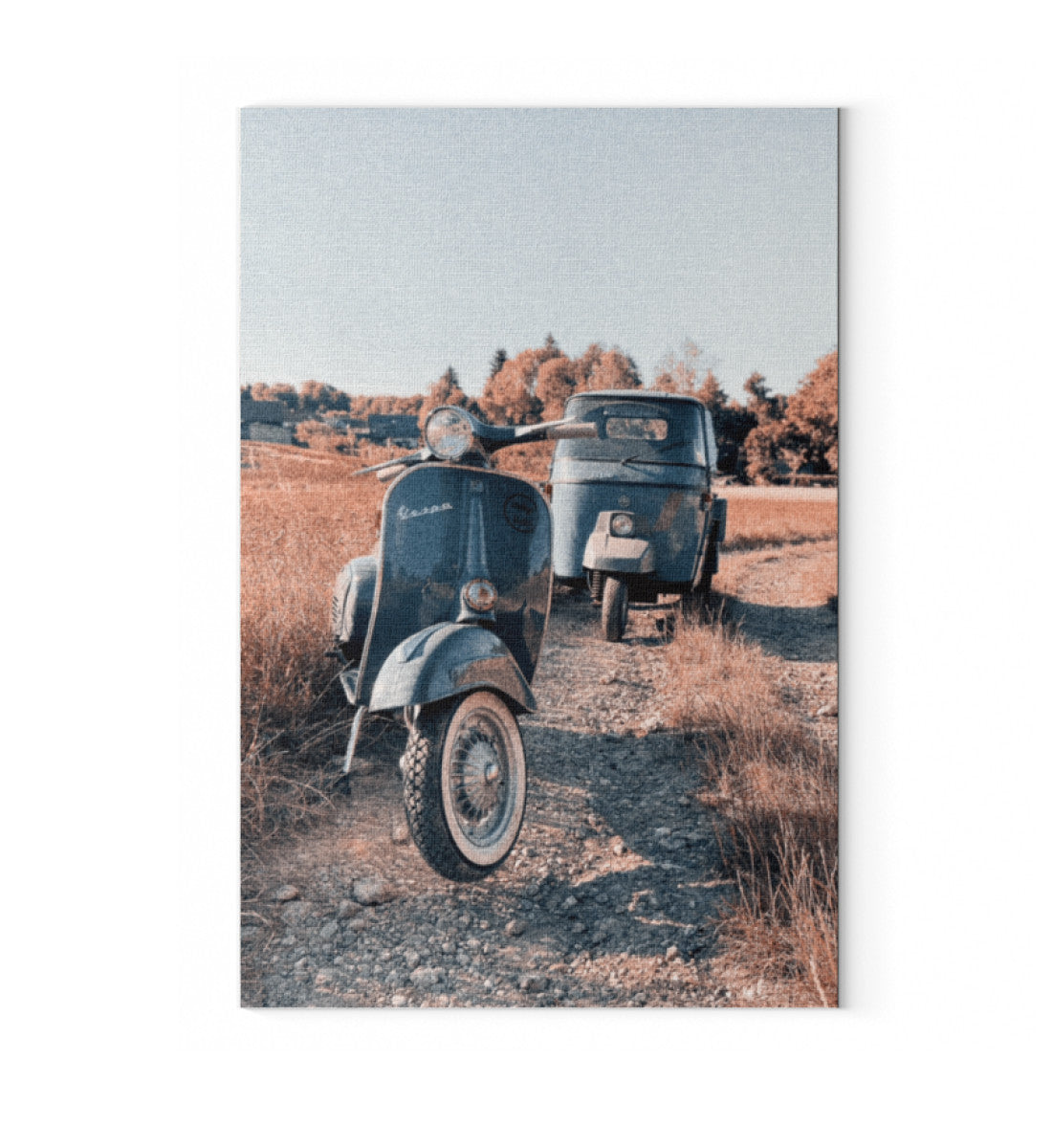 True Color Print-6846