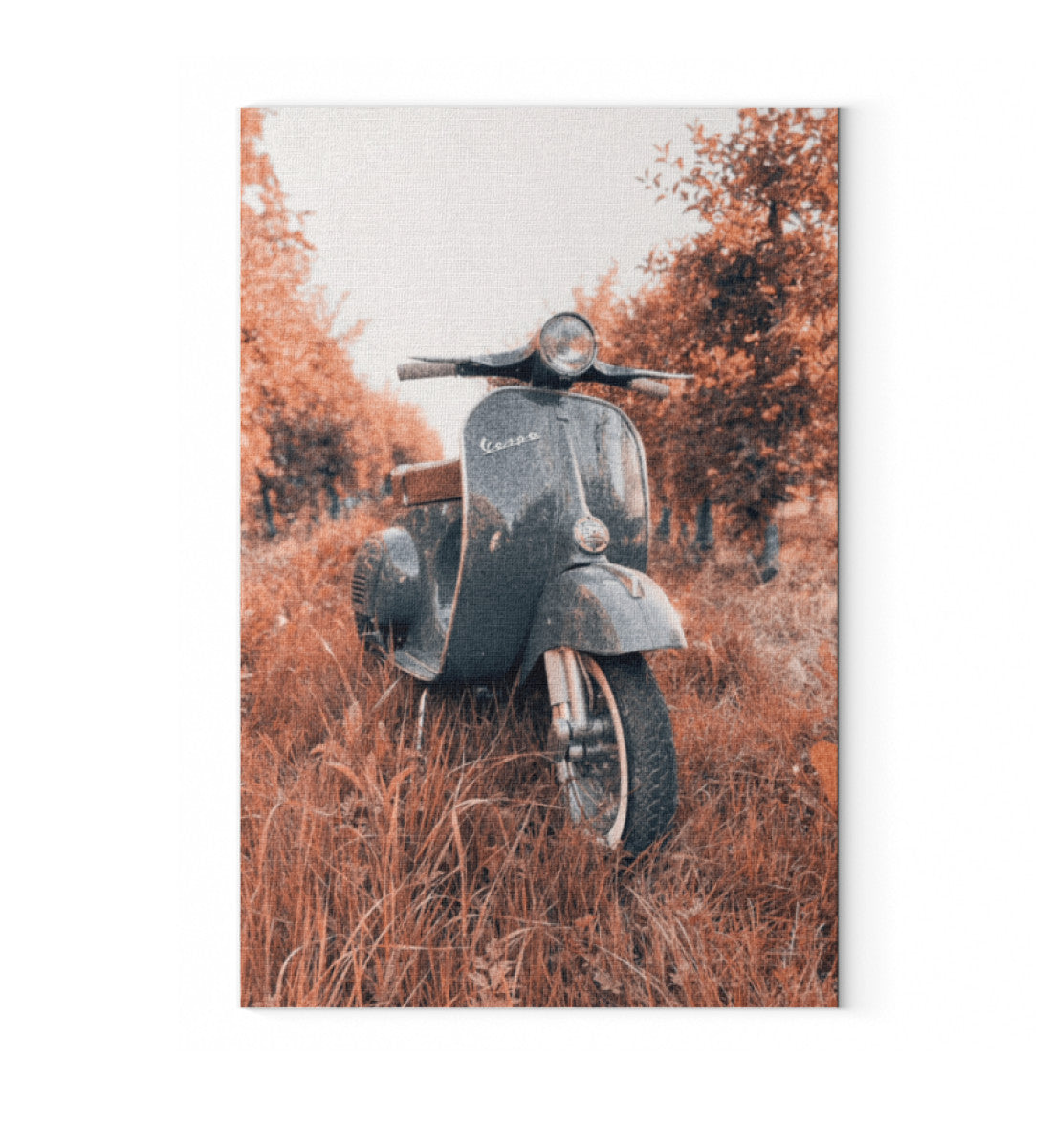 True Color Print-6846