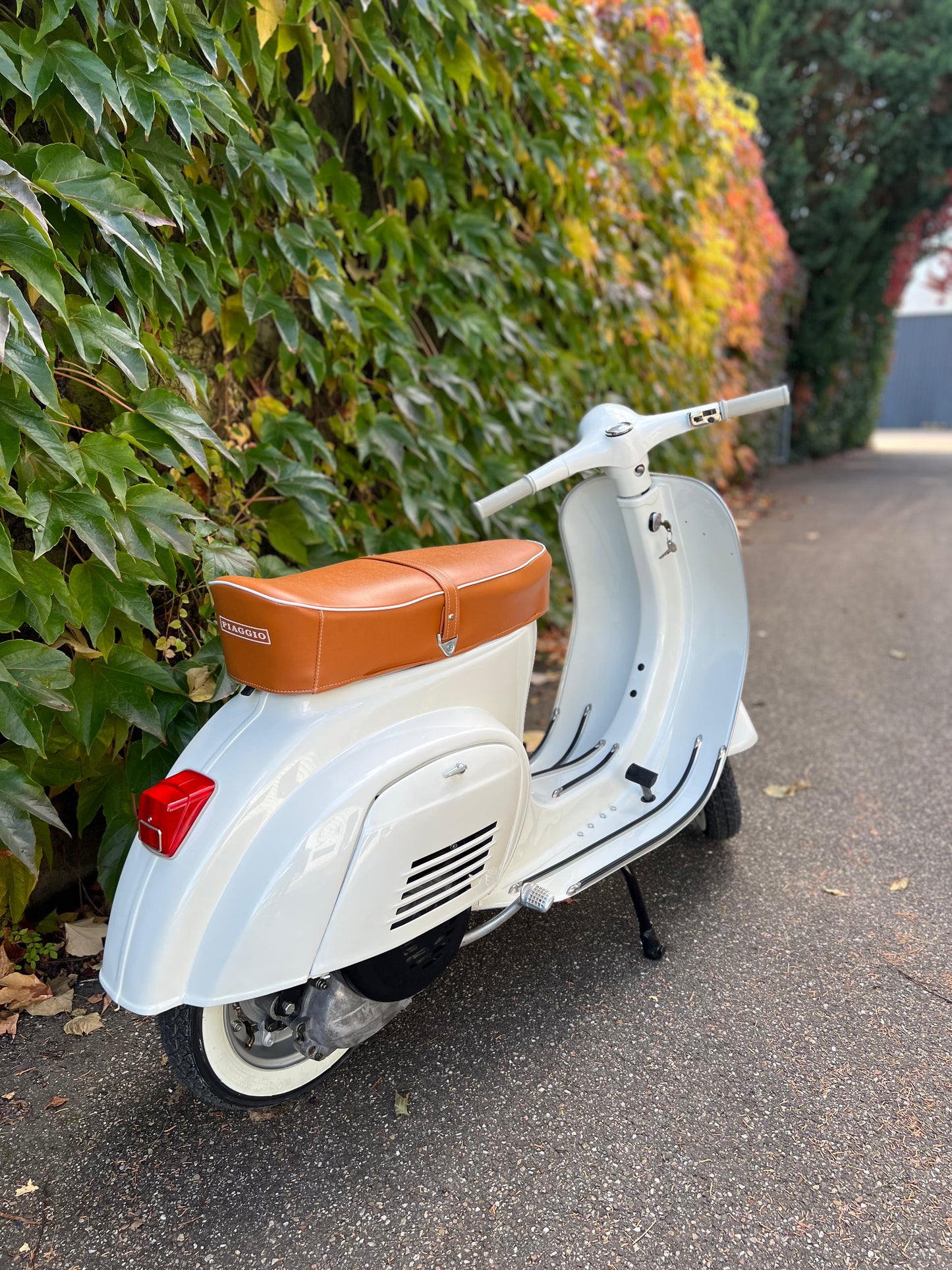 Vespa V50 Rundlicht | Vollrestauriert - Bj. 1966
